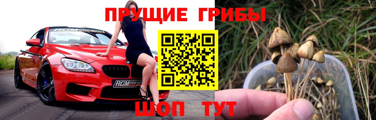 Галлюциногенные грибы Psilocybine cubensis  Вход с VPN  Большой Камень  Галлюциногенные грибы Psilocybe 